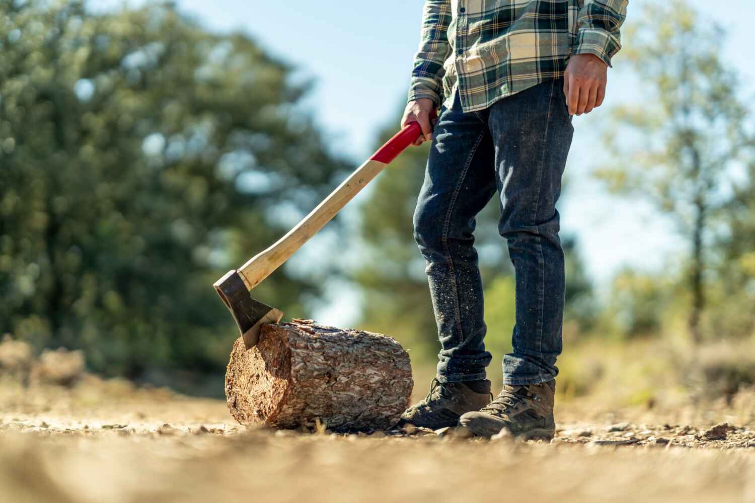 Best Tree Branch Trimming  in Lake Wazeecha, WI